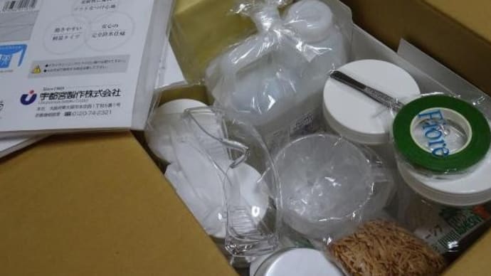 継続は力なりです