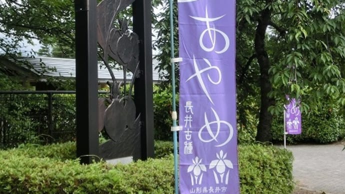 再掲;みちのくの夏2016 ~ 長井のあやめ公園 ~