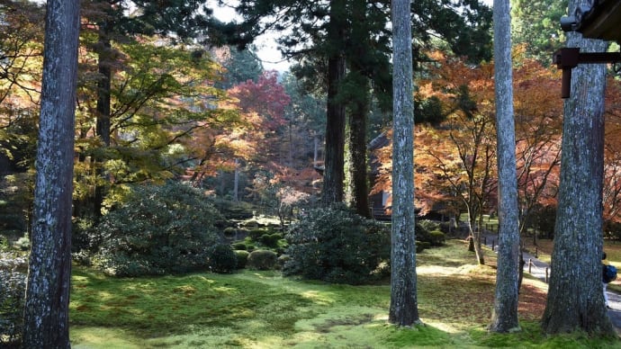 もみじ狩り　京都府左京区　紅葉名所めぐり2日目　【1】-（4）三千院　宸殿から有清園（ゆうせいえん）