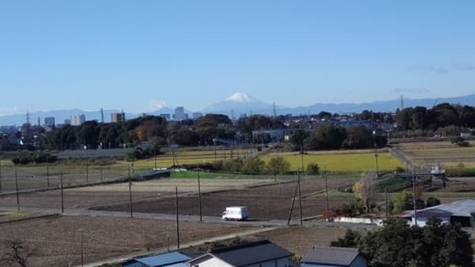 頂きものあれこれ・・・