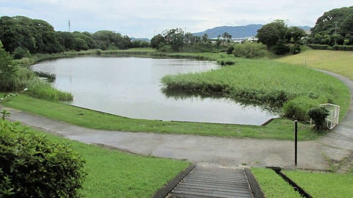 千鳥ガ池