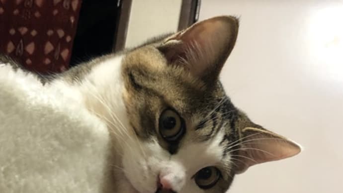 じーっ👀