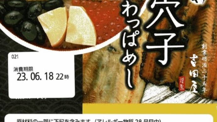 駅弁コレクション337 「ふわふわ二色の穴子わっぱめし」(八戸駅)