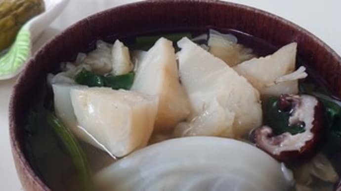 シンキャベツ 🥬