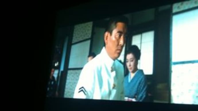 夜桜に映る健さん映画堪能！