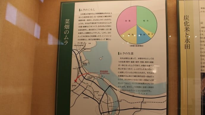 菜畑遺跡・末盧館(4)