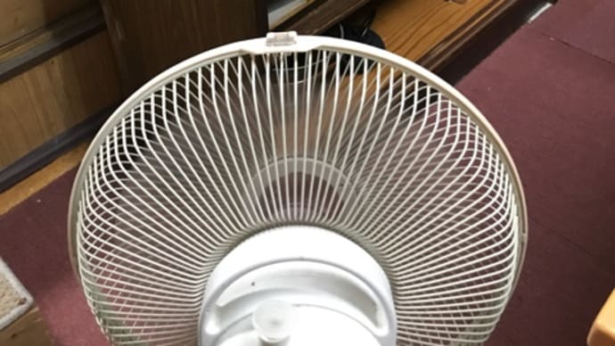 いろんなところでカビ問題。