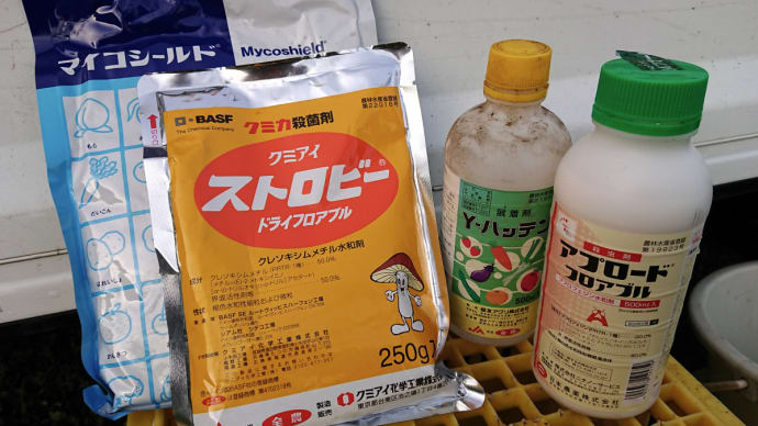 【第4回 消毒】 桃、ネクタリン、りんご、梨、さくらんぼ・・・ ☆ぶどうを除く果樹全般