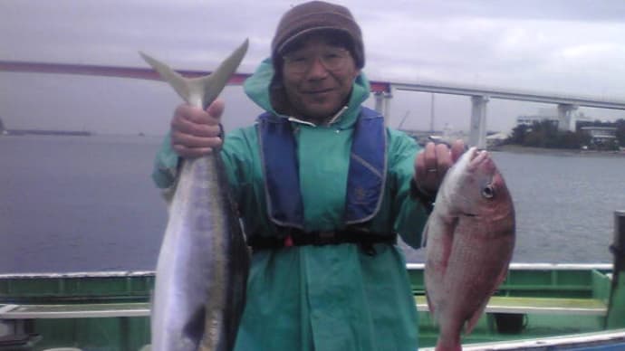 ワラサと遊んで身体を温めましょう!真鯛活況!ビギナー様で4kg!