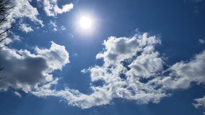 今日も晴れた~☀️