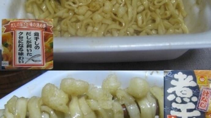 『汁なし 煮干し うどん』