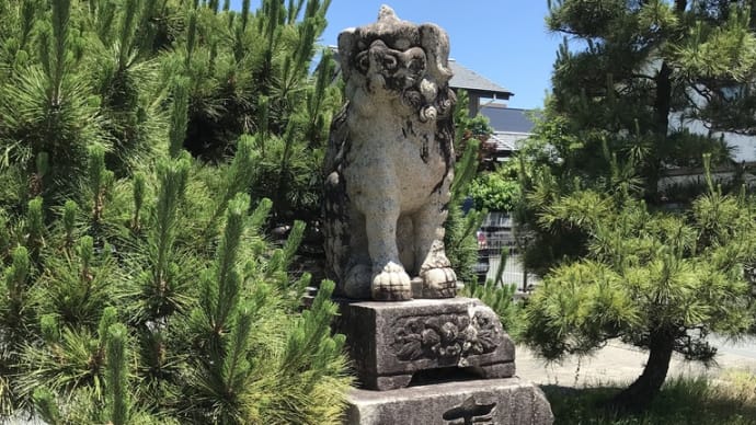 得意なものが異う