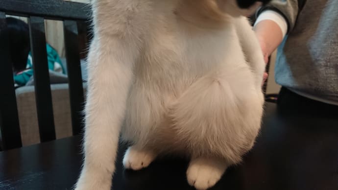 ここが。。