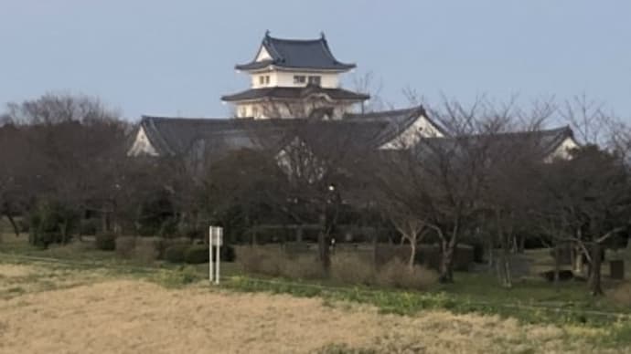 関宿城で小さなリベンジ