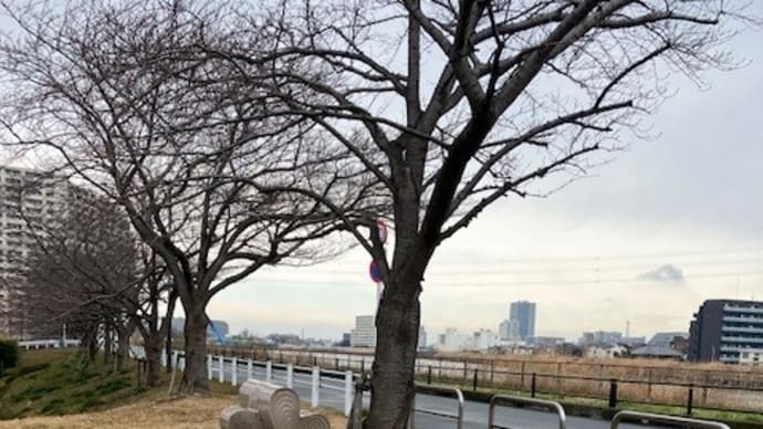 いつ、飛ばせるかな