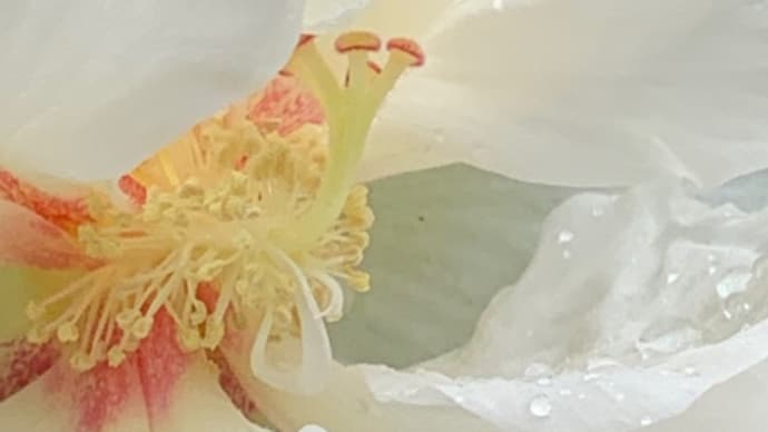 友を送る