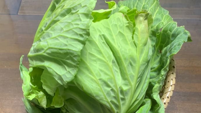 三寒四温・野菜事情
