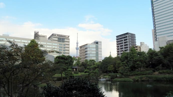 旧安田庭園から見るスカイツリー 鴨や亀たち 旧安田庭園シリーズその4 /完
