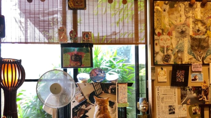 おいしいお散歩〜 2019.06