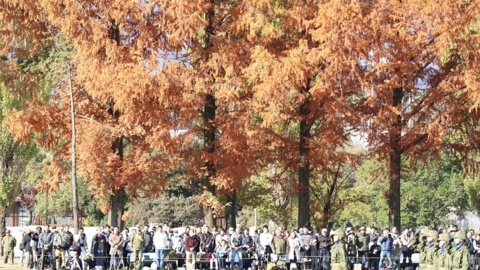 【M-5撮影特報】桂駐屯地創設70周年記念桂駐屯地祭,極彩色に彩る京都の紅葉と自衛隊(2024-12-01)