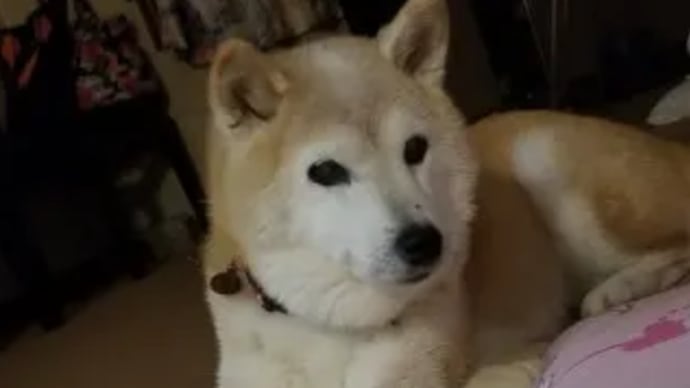クリンへの想いは尽きなくて・・・33