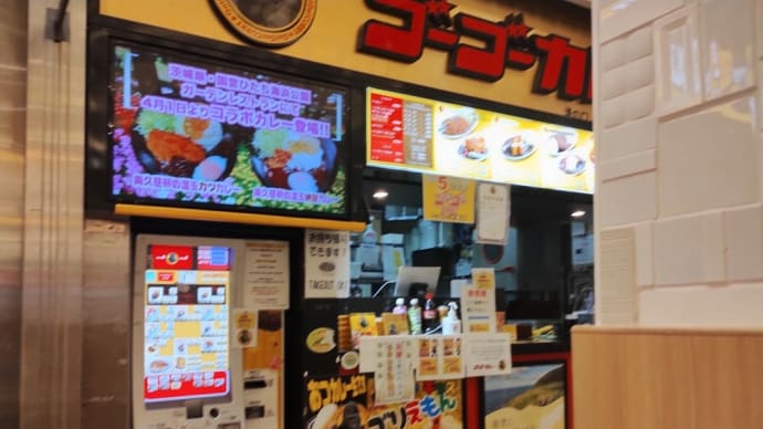 ゴーゴーカレーに行って来ました。