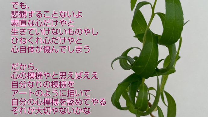 心模様 / ラグの写真詩