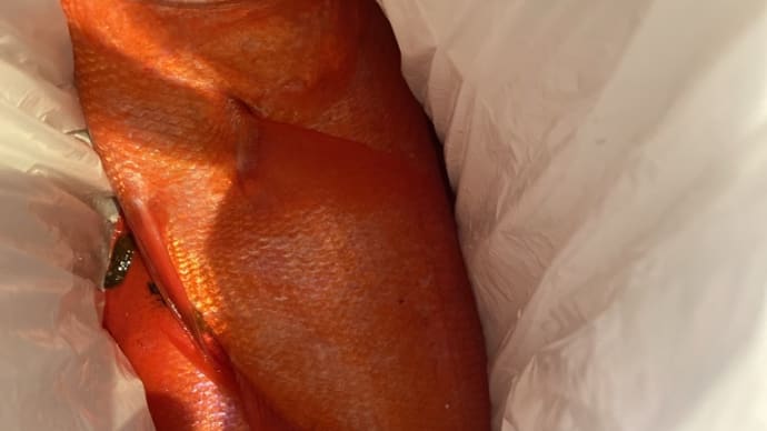 新鮮で肉厚な金目鯛のサプライズ
