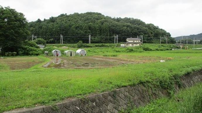 嵐山町の田んぼから菅谷館跡へ