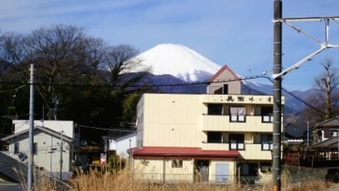 曽我丘陵ハイク