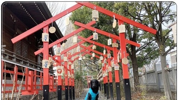 毎年恒例神社