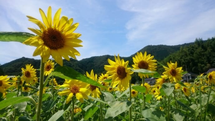 45歳を目前に・・・