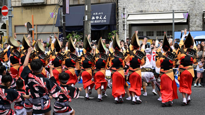 ◆いなせ連の組踊り・華純連の動画(葛飾菖蒲まつり)