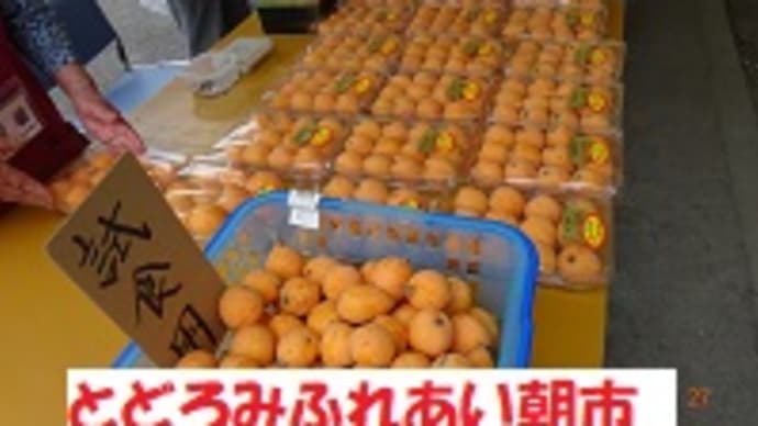 本日(5月11日)の朝市 玉ねぎやえんどう豆、春キャベツなどがてんこ盛り…