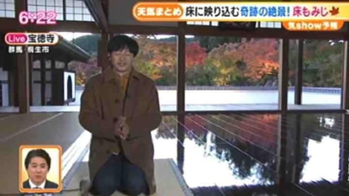 桐生・宝徳寺の絶景「床もみじ」