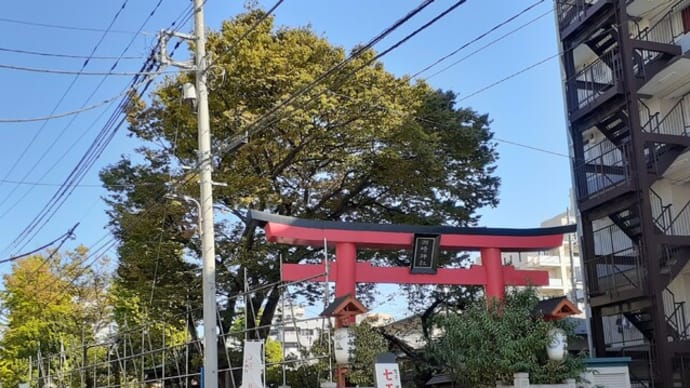 洲崎神社は「玉の輿たまちゃん」だけじゃない