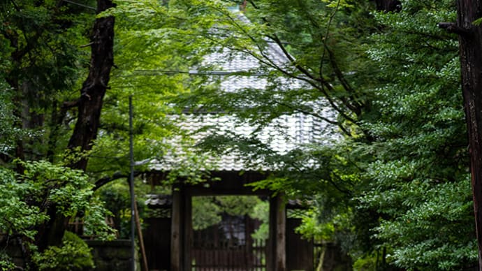 湿度たっぷり【寿福寺】何度来ても感動は変わらない