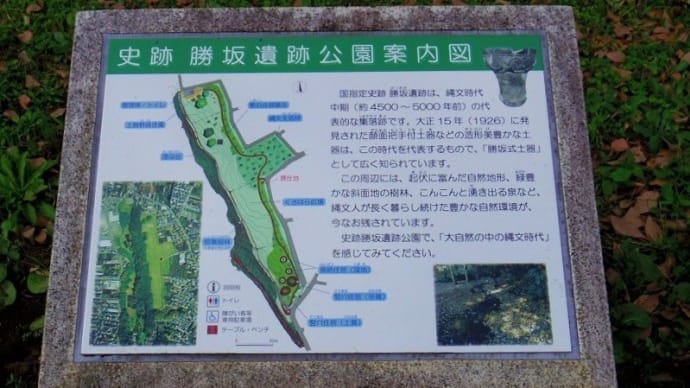 関東地方の標式遺跡、国指定史跡「勝坂遺跡公園」を訪ねて！！