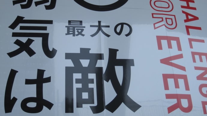 カープ床田、また打たれちゃいました・・・佐々岡監督の期待に応えられず　カープ６－１で中日に負けました