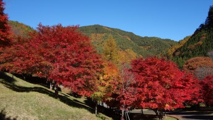 もみじ湖(箕輪=みのわダム、箕輪町)