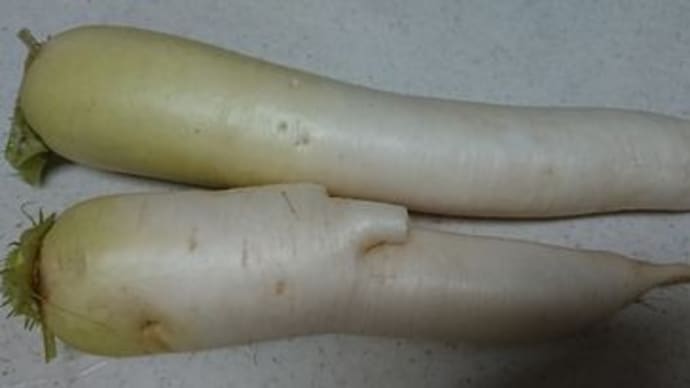 歯痛は治っているが・・・・・・。頂き野菜と柔らか料理。