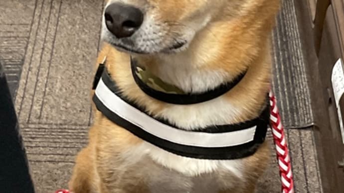 面接