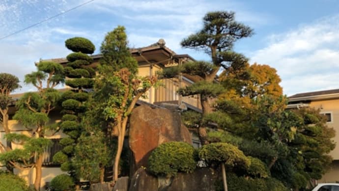 早く元気に