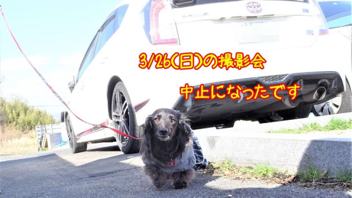 記事差し替えに