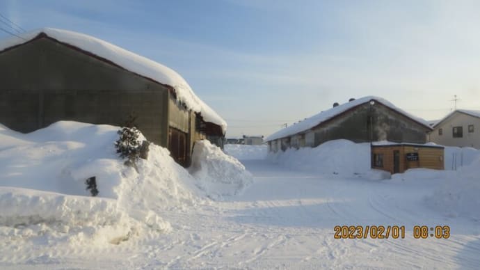 2023年2月1日と2日 北海道岩見沢市 積雪状況と気温です 車窓からの風景