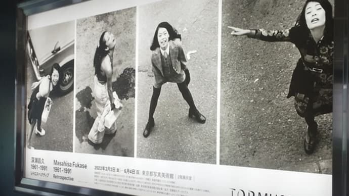 「深瀬昌久 1961-1991レトロスペクティブ」東京都写真美術館