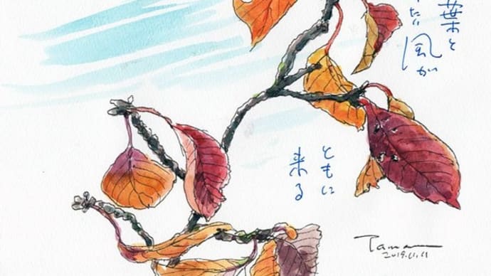 紅葉と 冷たい風が ともに来る