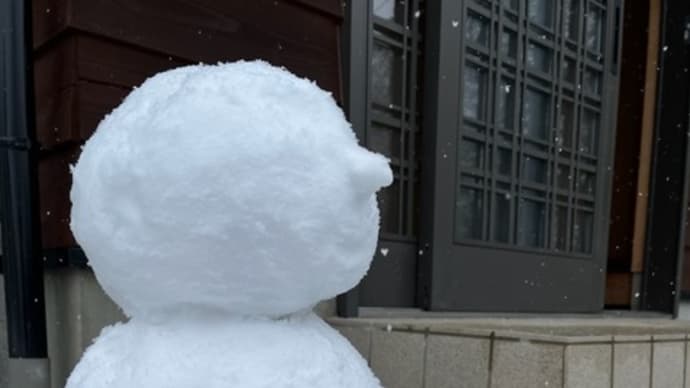 雪が降りましたね~💕&インターステラ―2回目