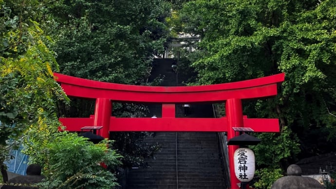 愛宕神社は来年春まで境内工事中