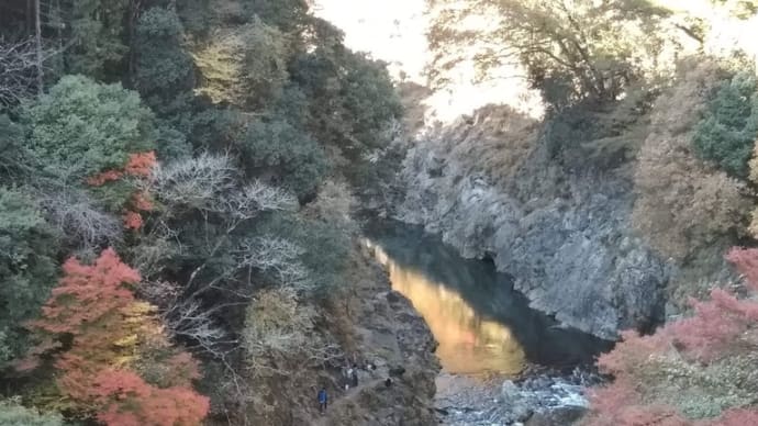 73. ちはやぶる 神代も聞かず 龍田川 唐紅に 水くくるとは 在原業平